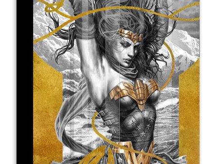 Mighty Mini Collection: Wonder Woman Black and Gold Online now