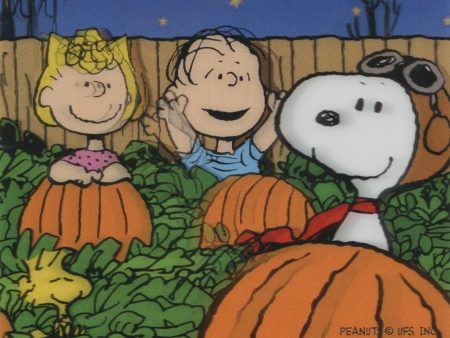 Peanuts Lenticular Card: Sally, Linus, Snoopy (Framed) Online Sale