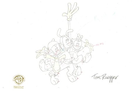 Animaniacs Original Production Drawing Signed by Tom Ruegger: Yakko, Wakko, Dot Hot on Sale