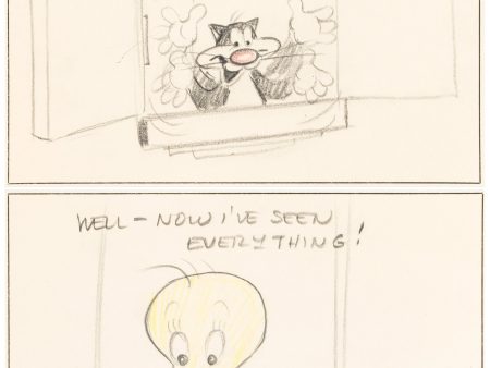 A Pizza Tweety Pie Original Storyboard Drawings Double Aperture Supply