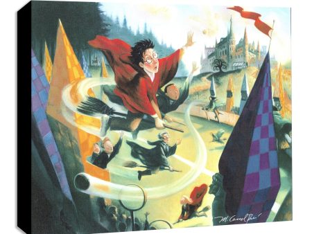 Mighty Mini Collection: Quidditch on Sale