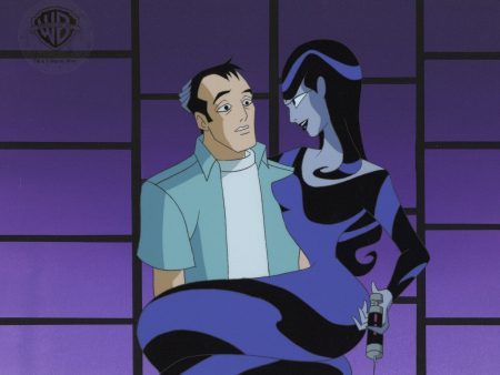 Batman Beyond Original Production Cel on Original Background: Inque and Aaron Herbst Discount